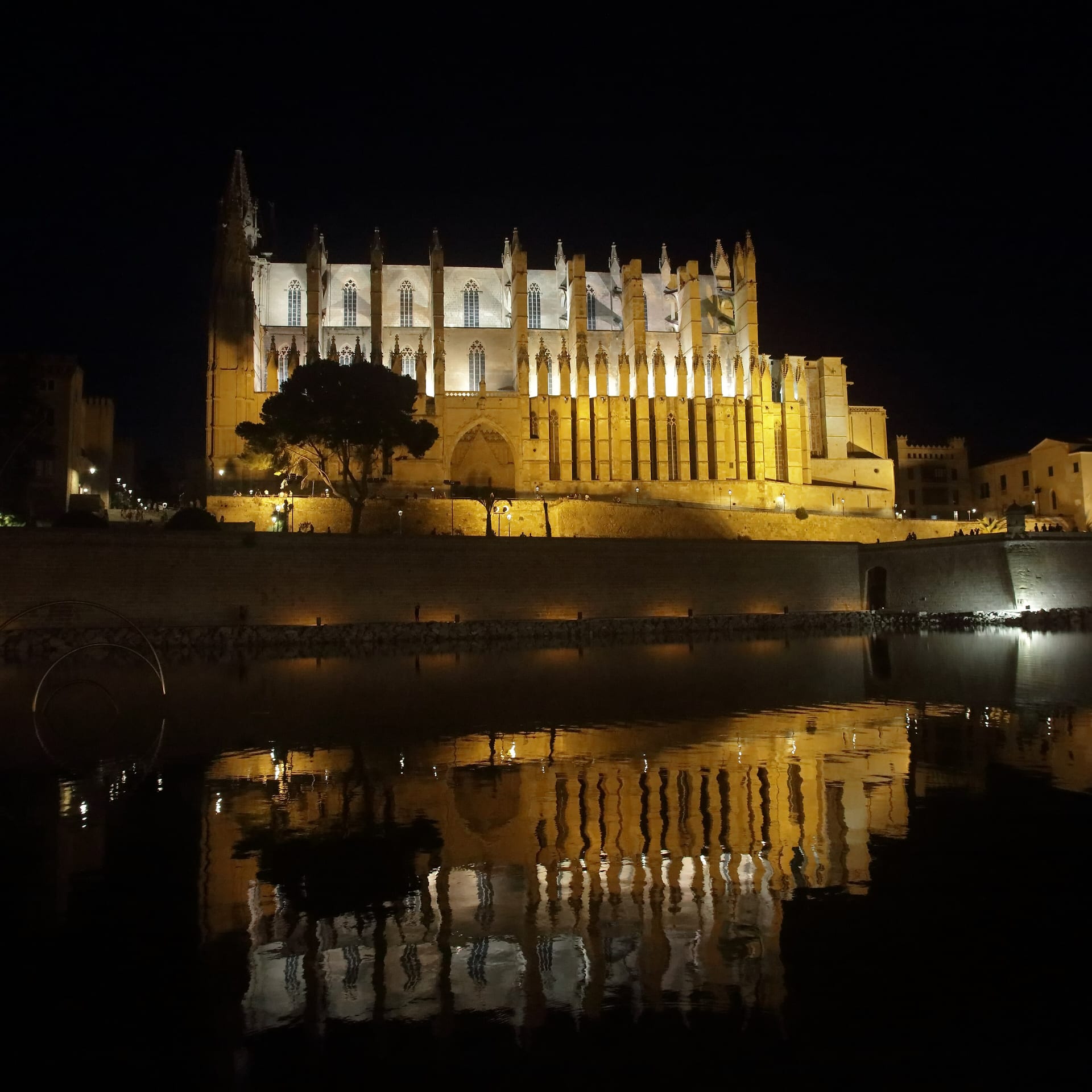 Palma Cathedral (La Seu) above the bay
