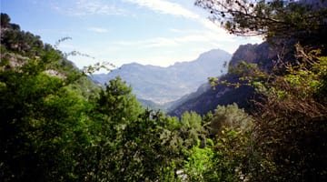 Private Mallorca shore excursion from Palma